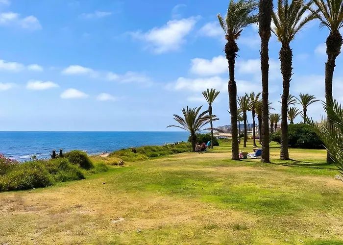 Amalia Torrevieja