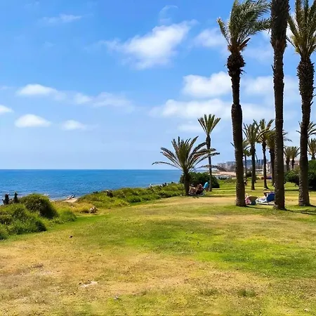 Amalia Torrevieja